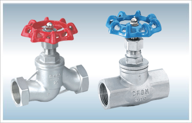 Screen globe valve