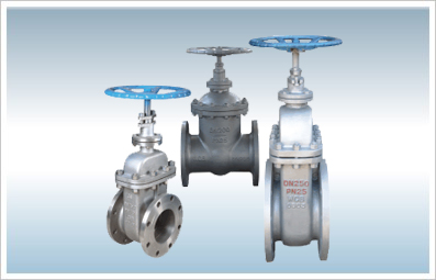 Russian standard gate valve
